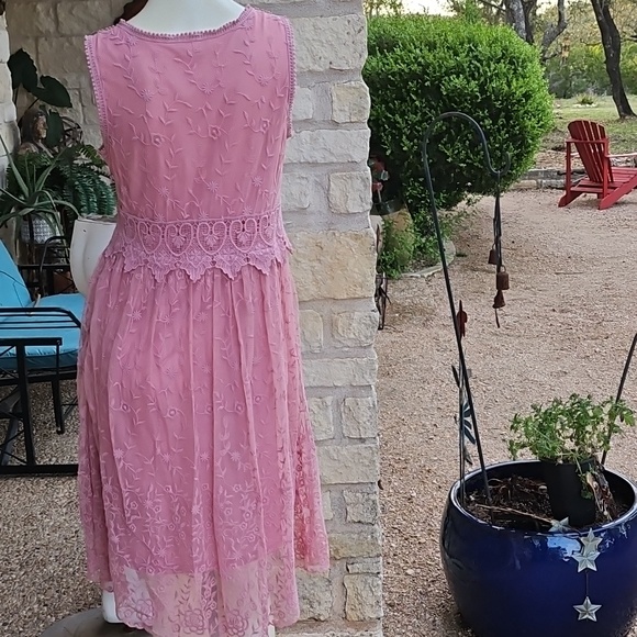 Sundance Juliet Rose Pink Lace Boho Romantic Sleeveless Embroidered Dress Size 6 - Picture 8 of 11